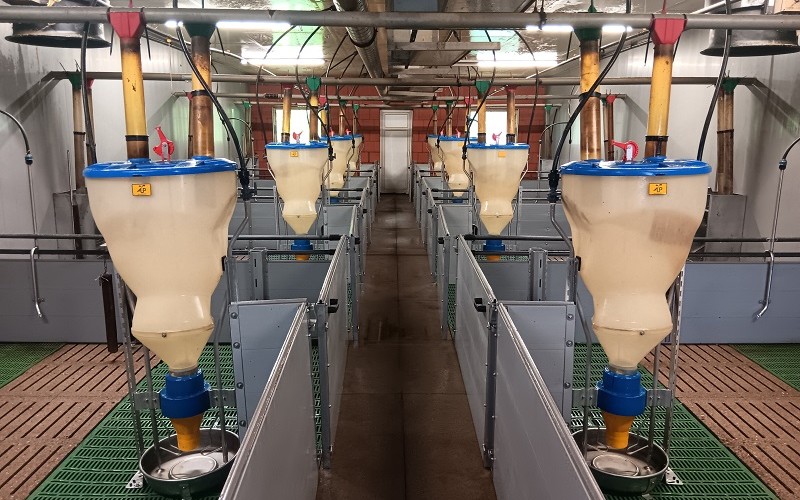 Landwirtschaft & Hofservice